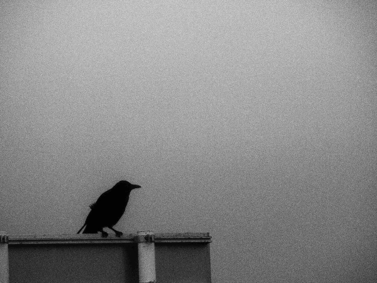 Archillect ID 258712