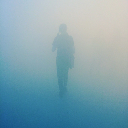 Archillect ID 258844