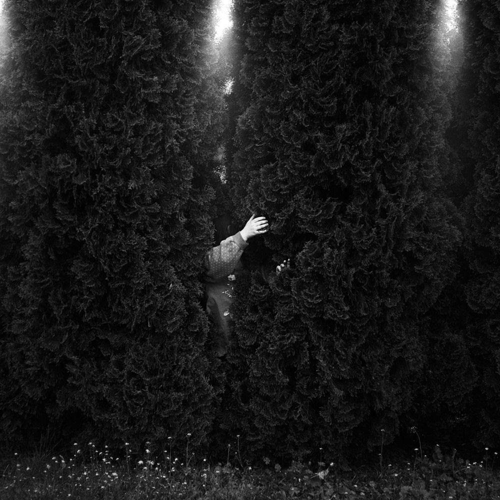 Archillect ID 258961