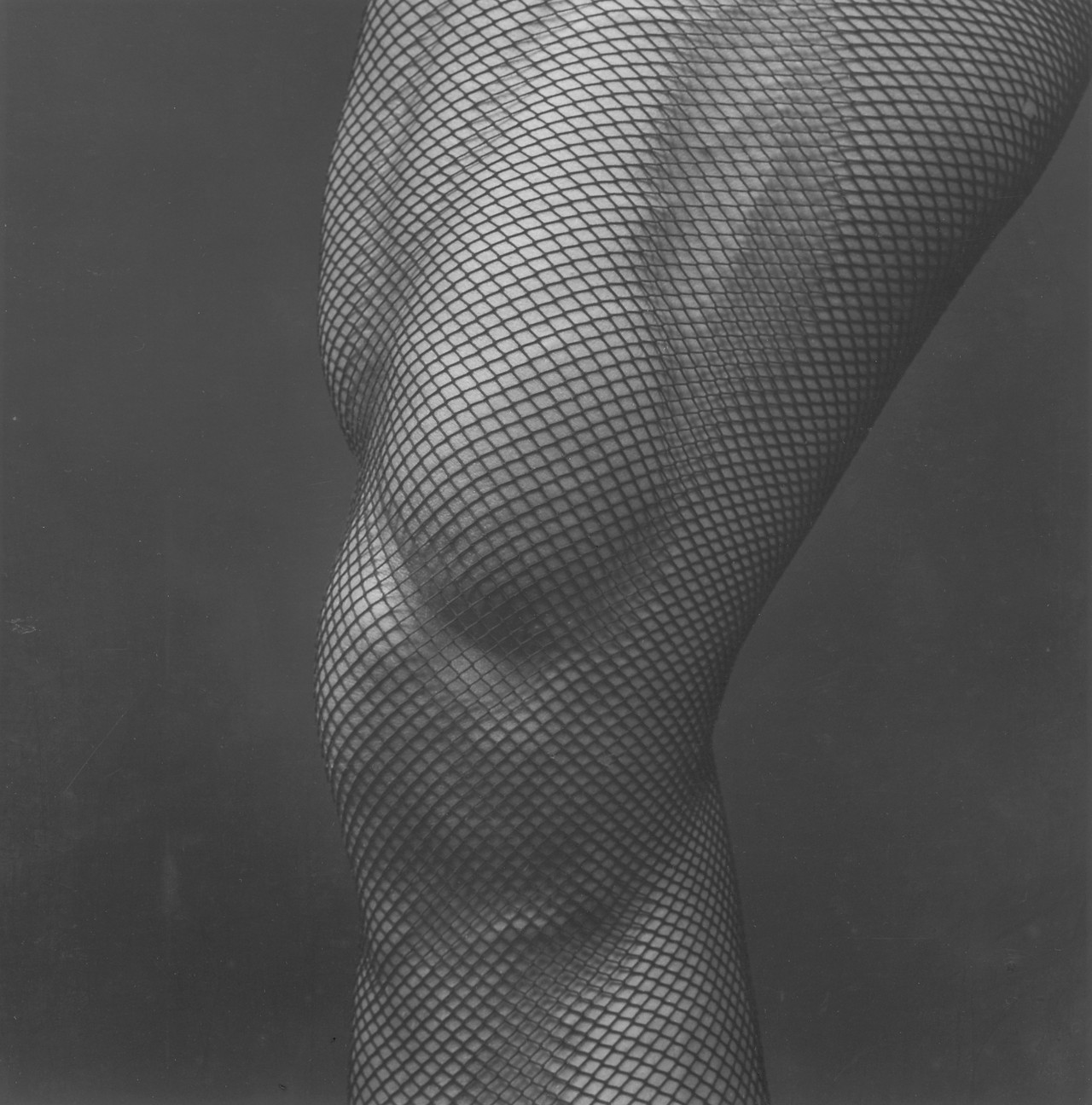 Archillect ID 259288