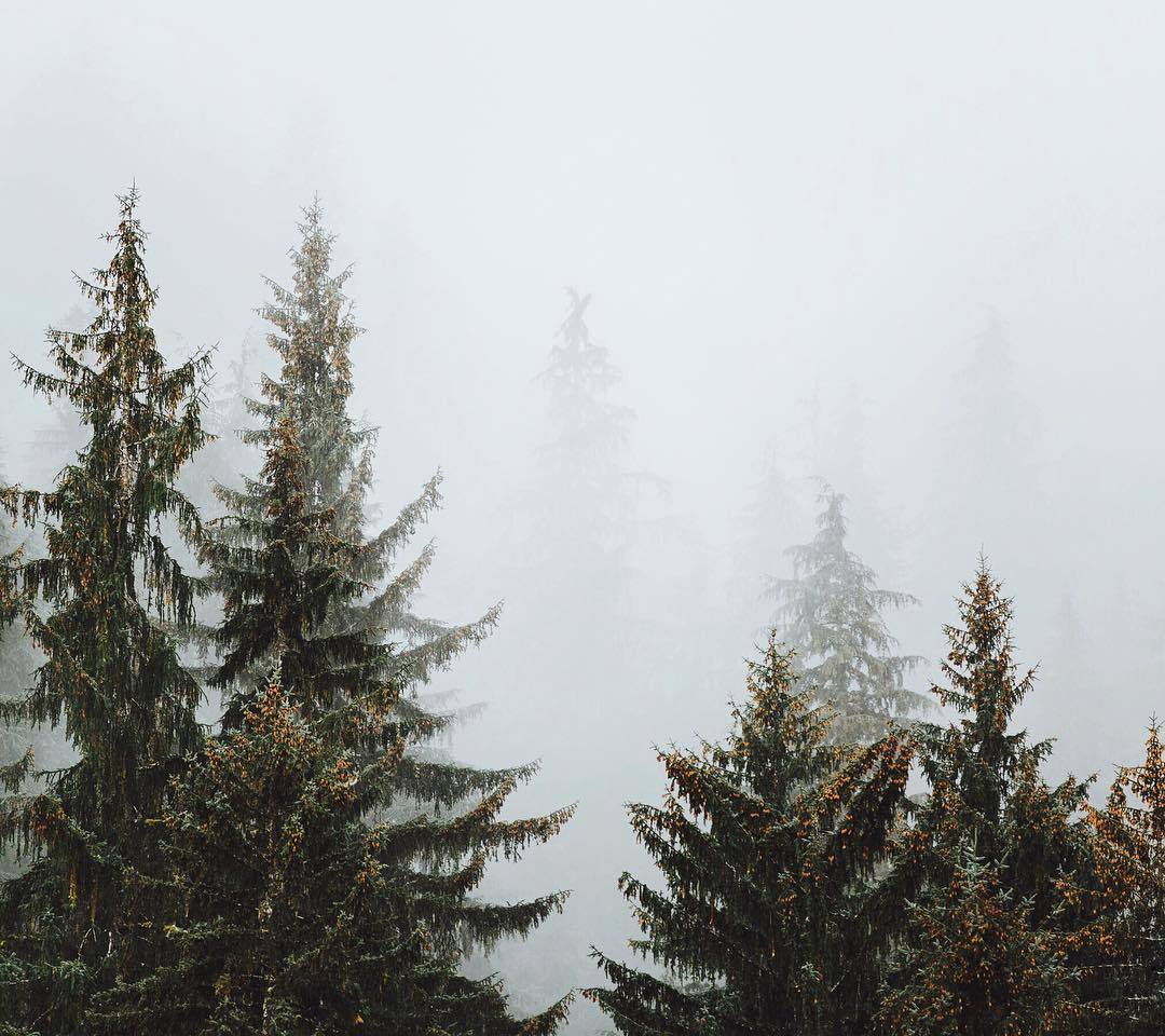 Archillect ID 259319