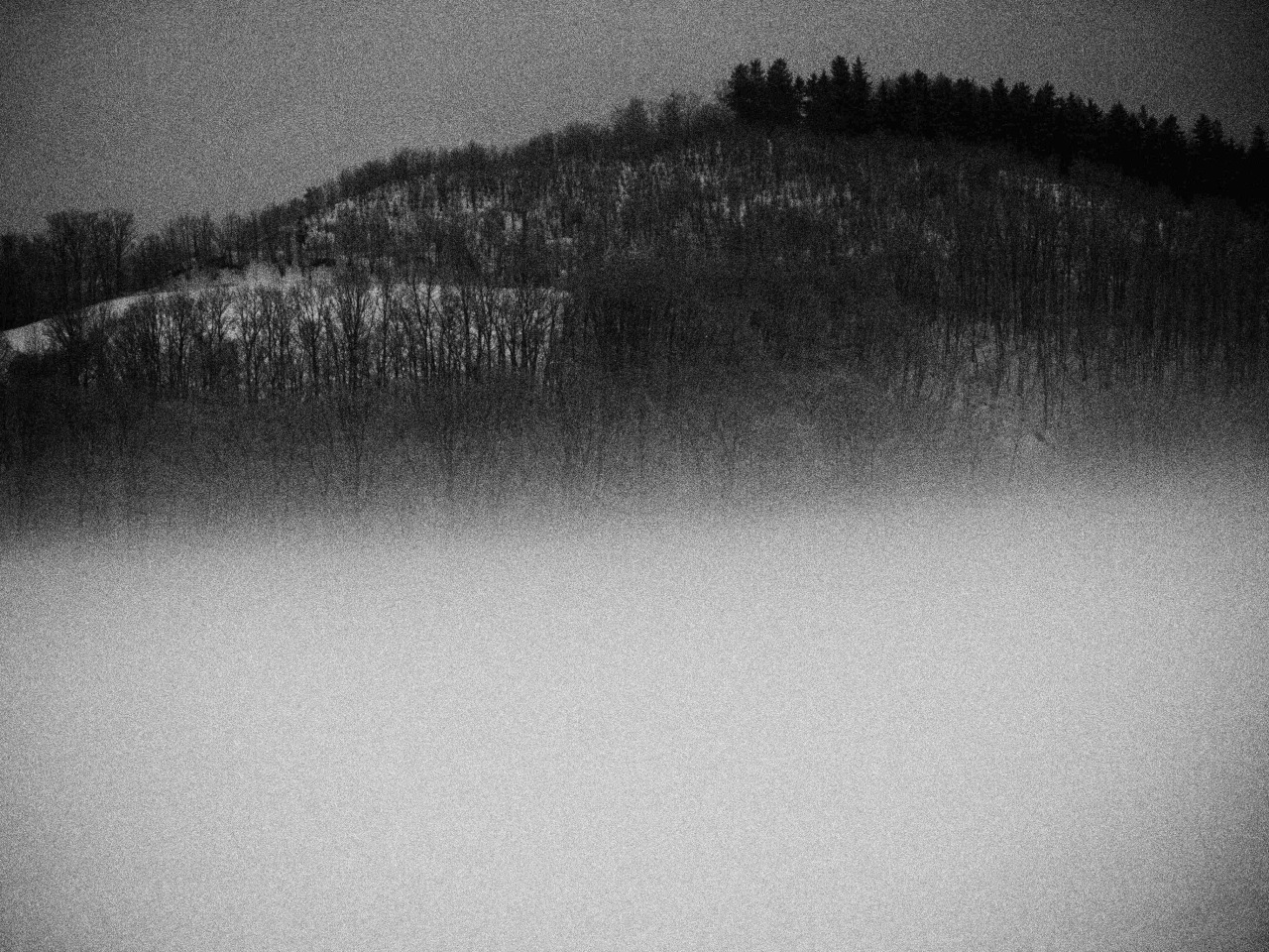 Archillect ID 259717
