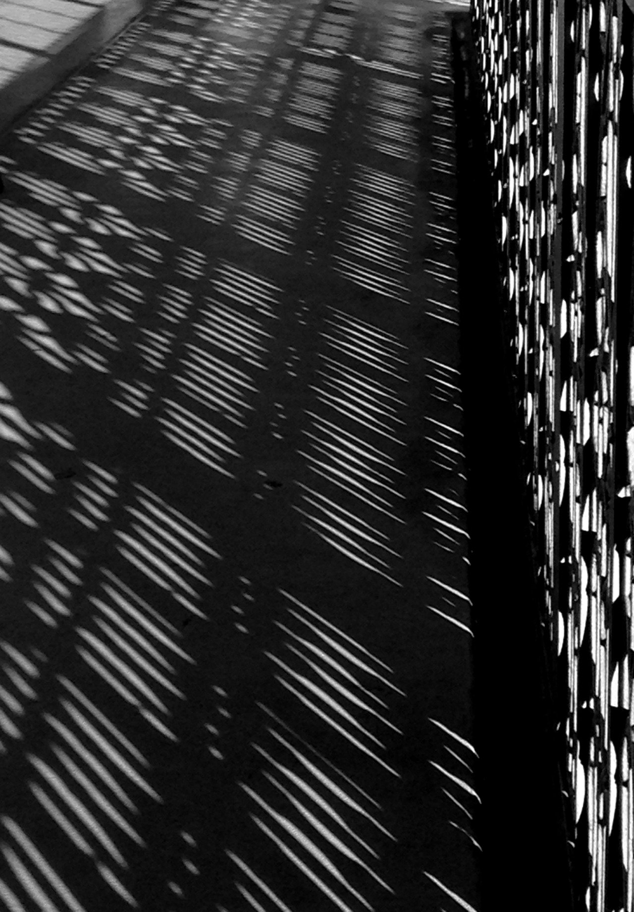 Archillect ID 260636