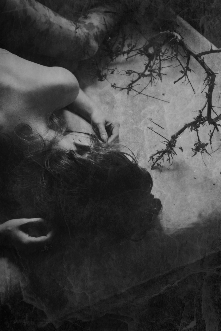 Archillect ID 260874