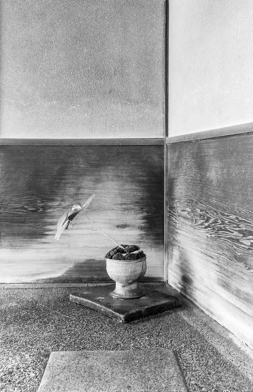 Archillect ID 261563