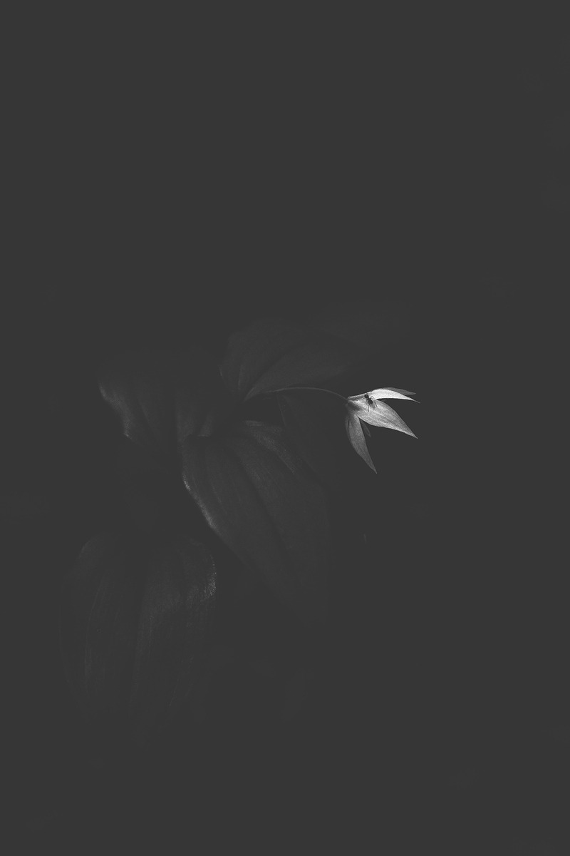 Archillect ID 261576