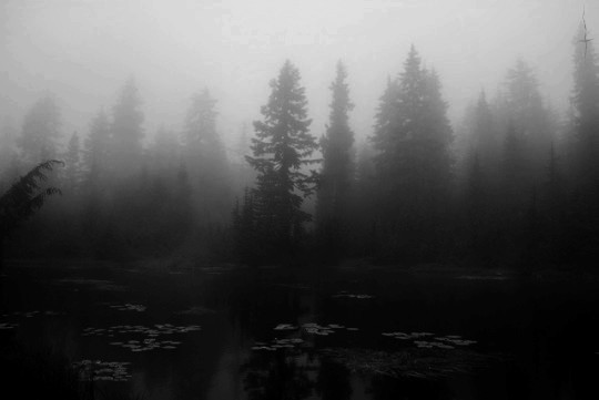 Archillect ID 261703