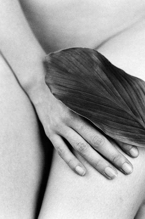 Archillect ID 262398