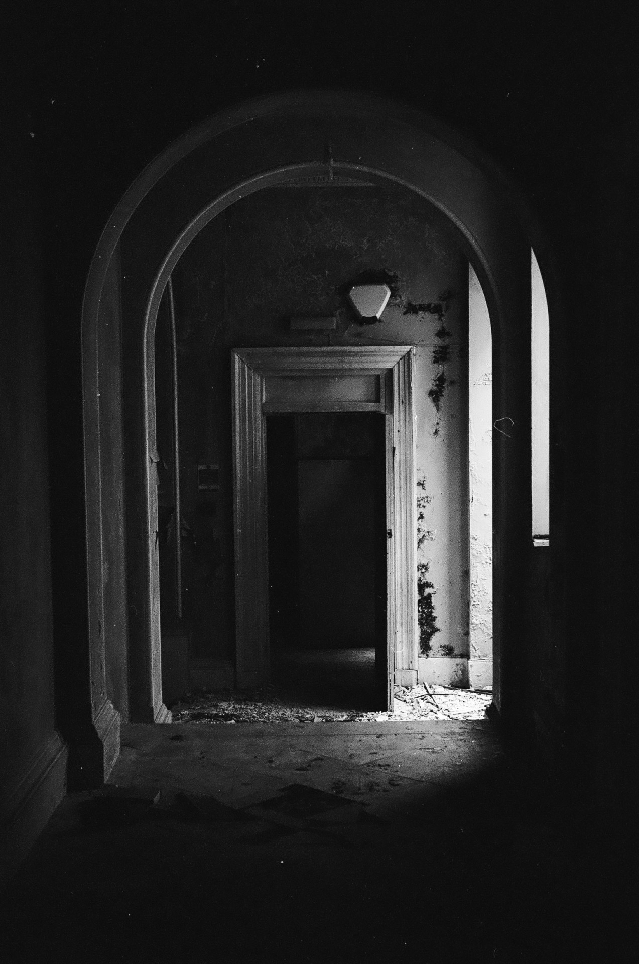 Archillect ID 262437