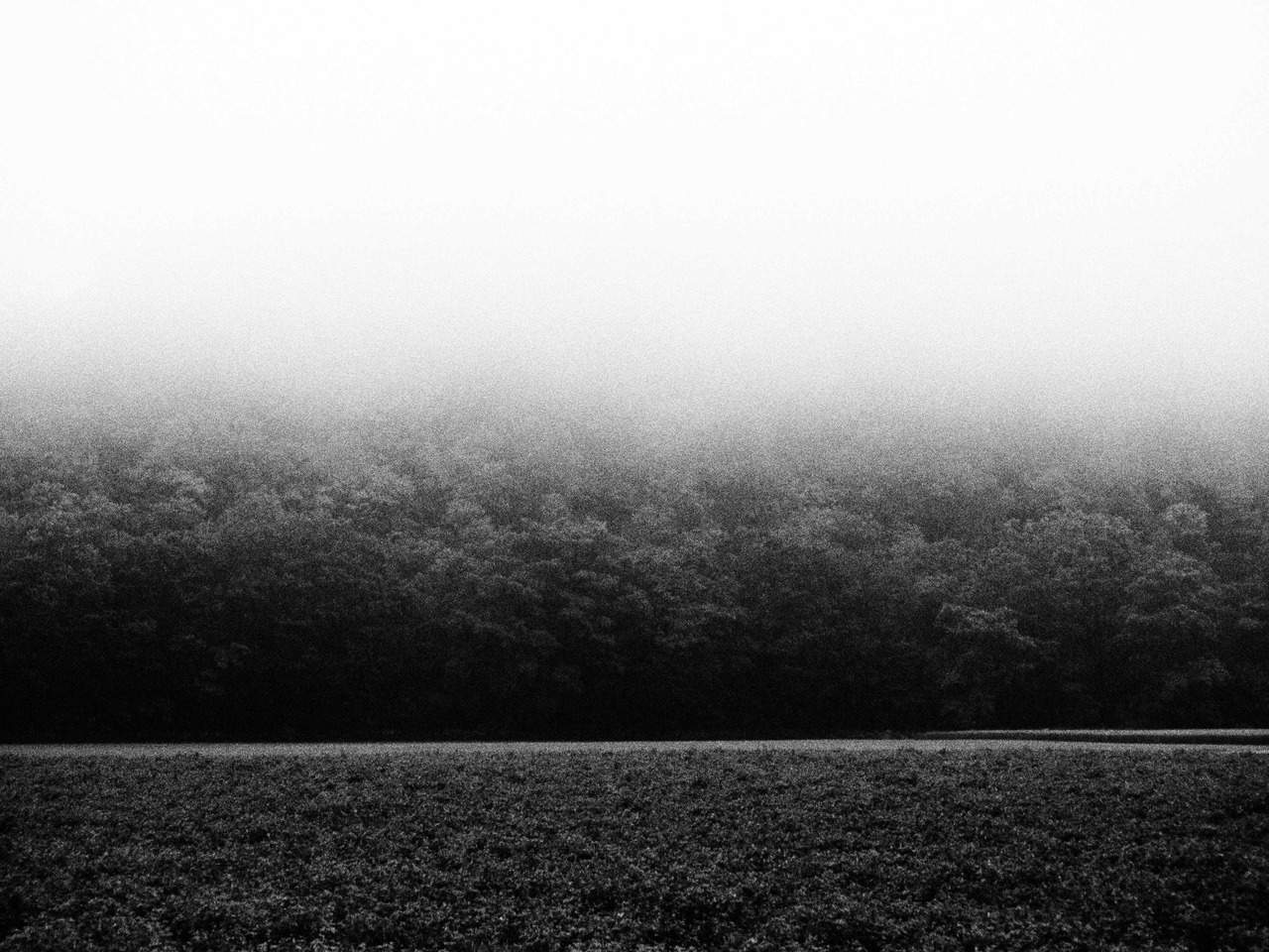 Archillect ID 262457