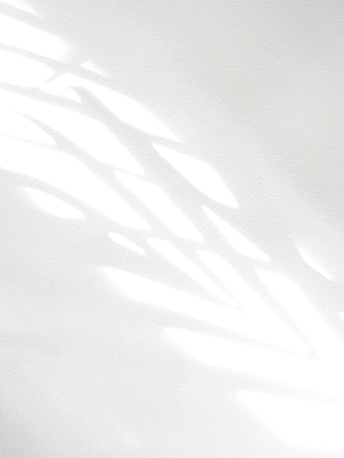 Archillect ID 262984