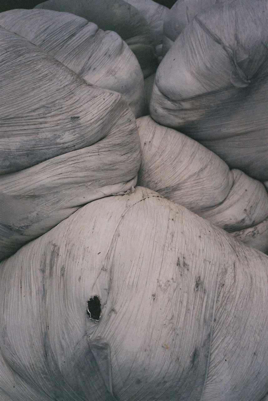 Archillect ID 263474