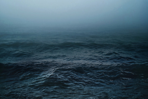 Archillect ID 263816