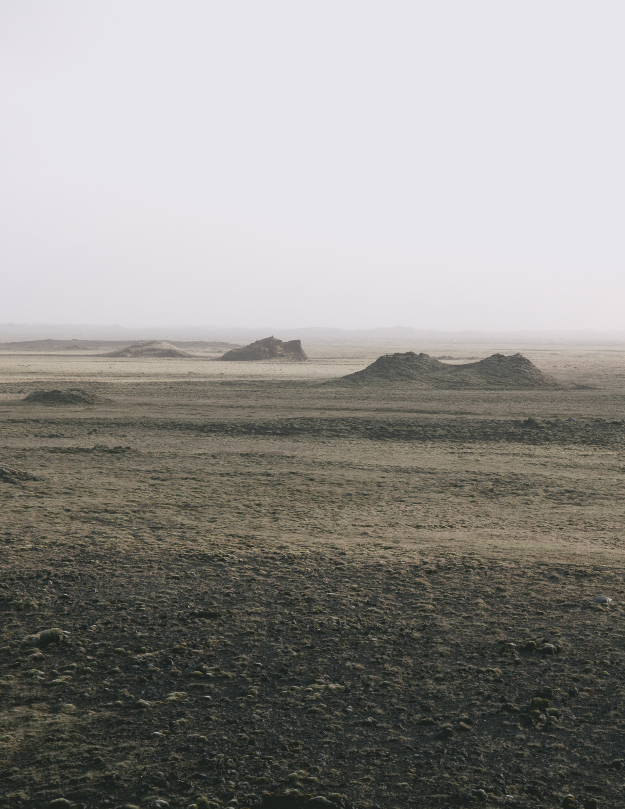 Archillect ID 264136