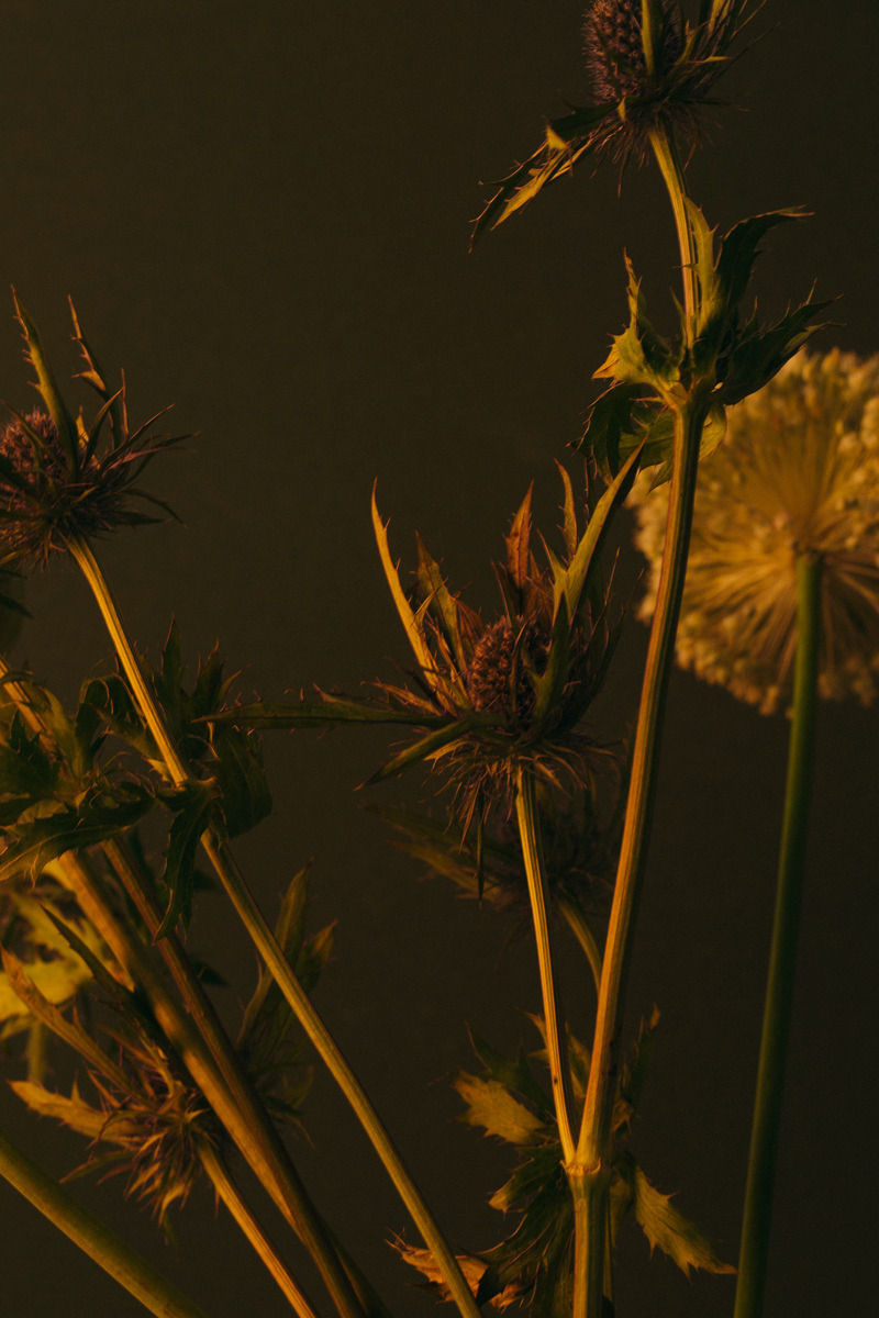 Archillect ID 264247