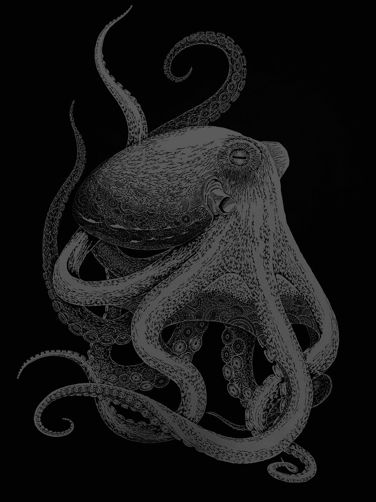 Archillect ID 264264