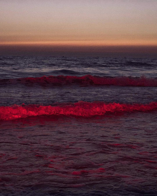 Archillect ID 264282