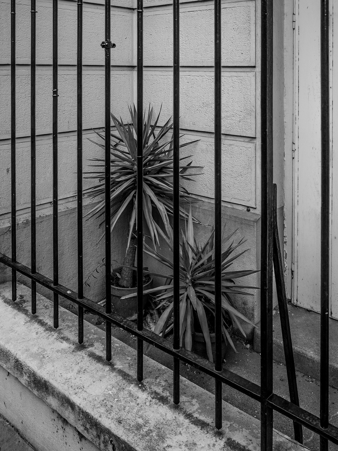 Archillect ID 264933