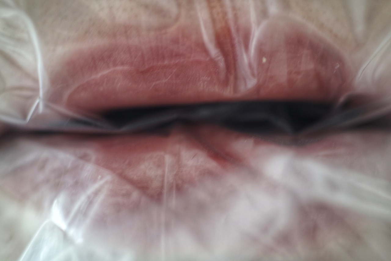 Archillect ID 265059