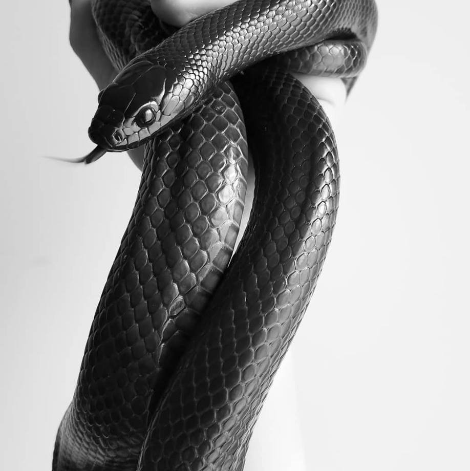 Archillect ID 265244