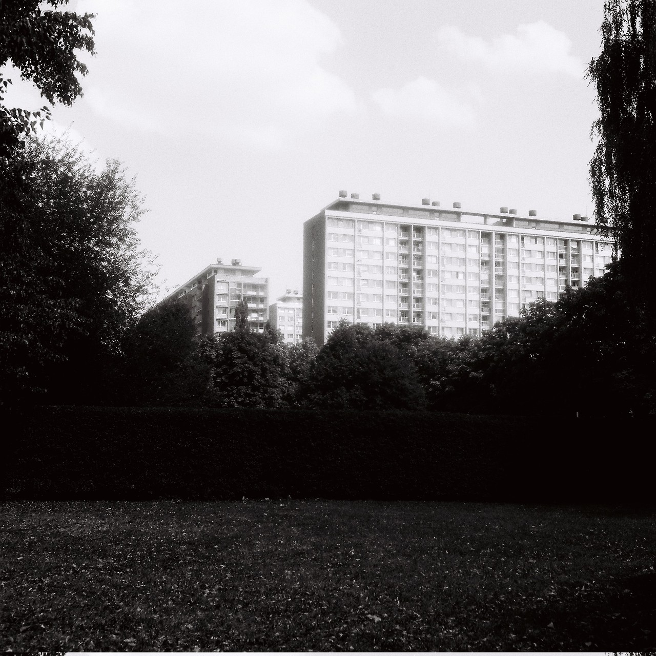 Archillect ID 265448