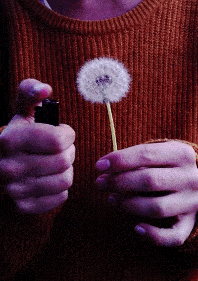 Archillect ID 265673