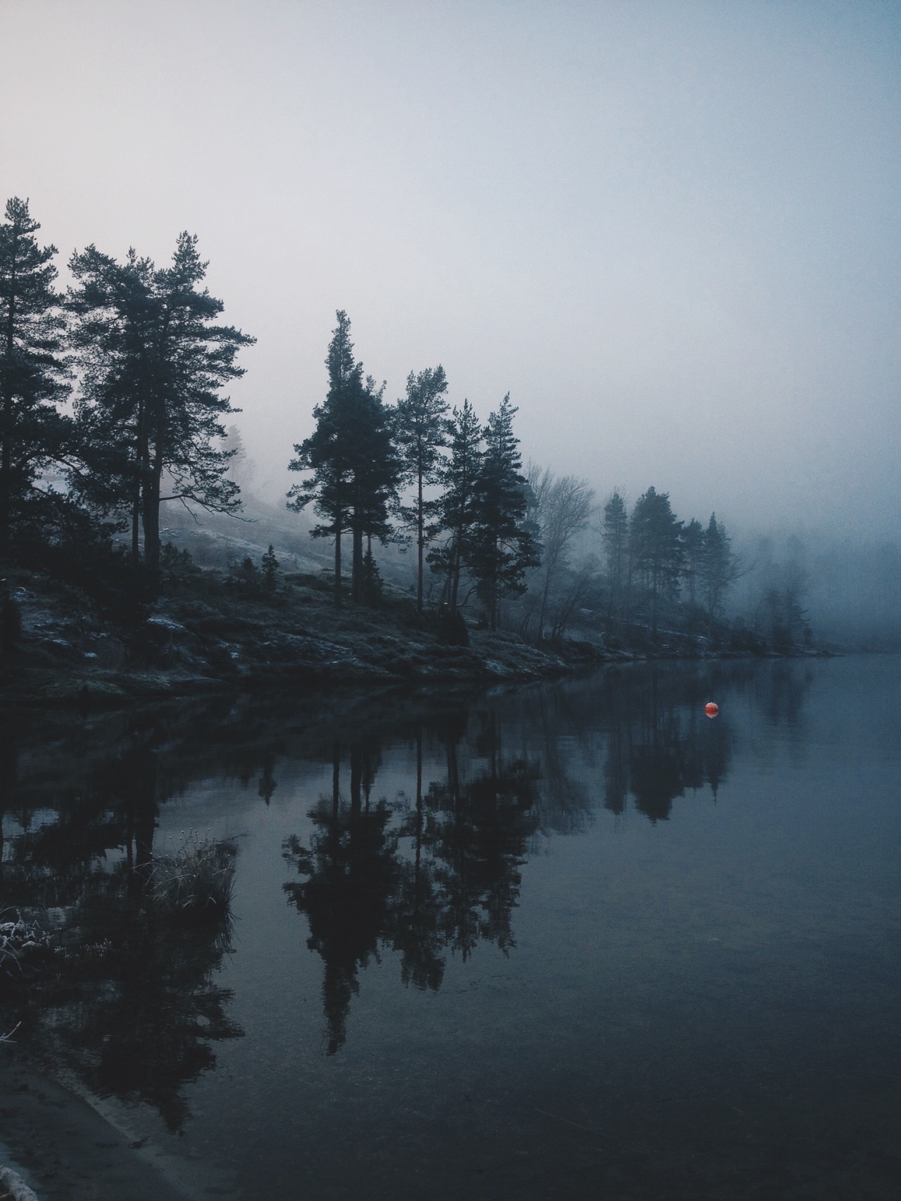 Archillect ID 266623