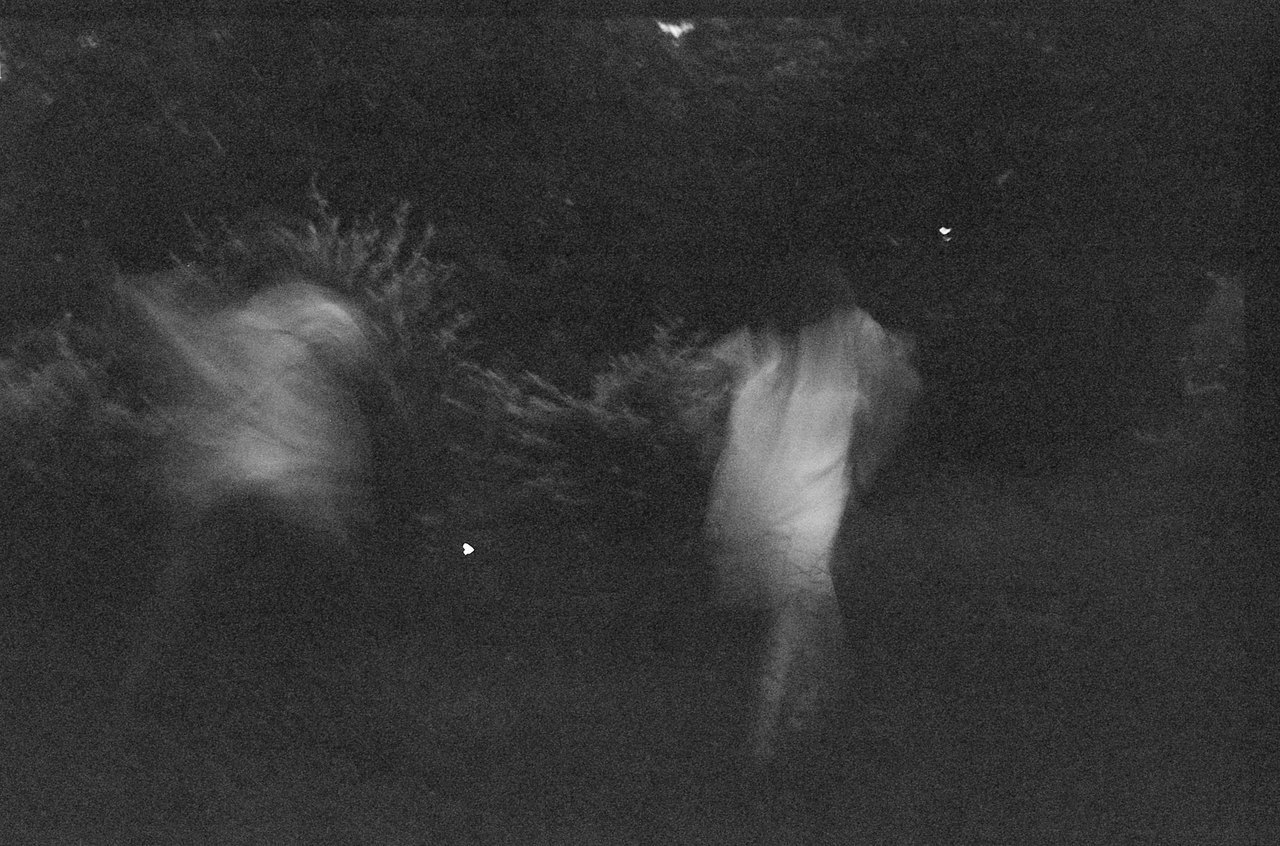 Archillect ID 267225
