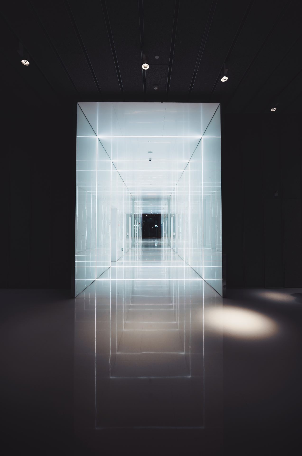 Archillect ID 268206