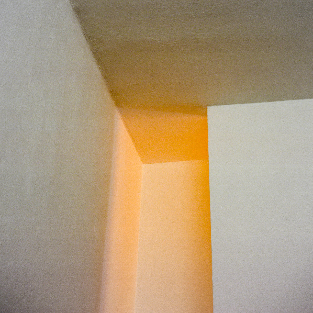 Archillect ID 268341