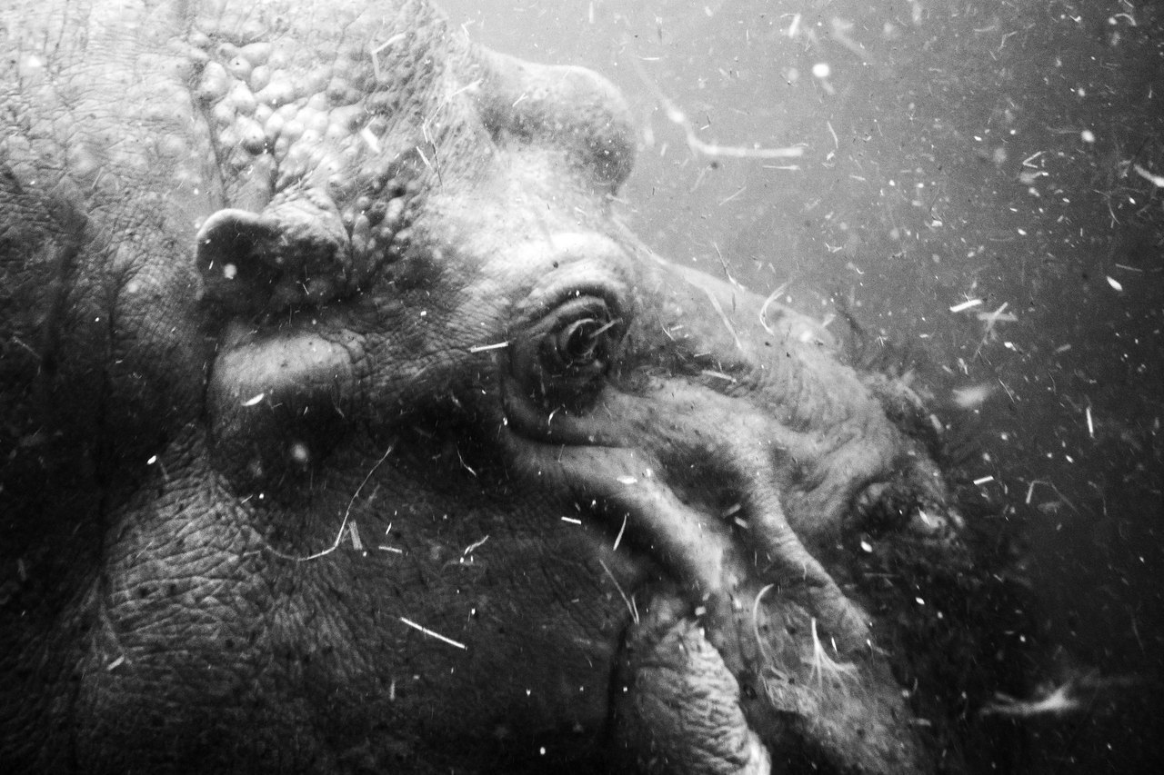 Archillect ID 268960