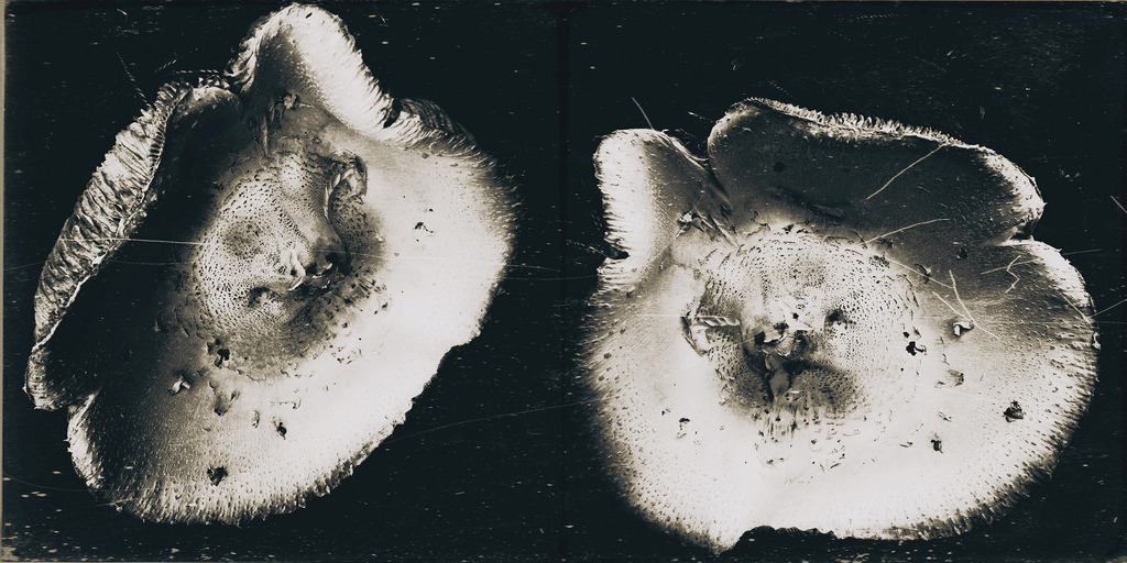 Archillect ID 268974