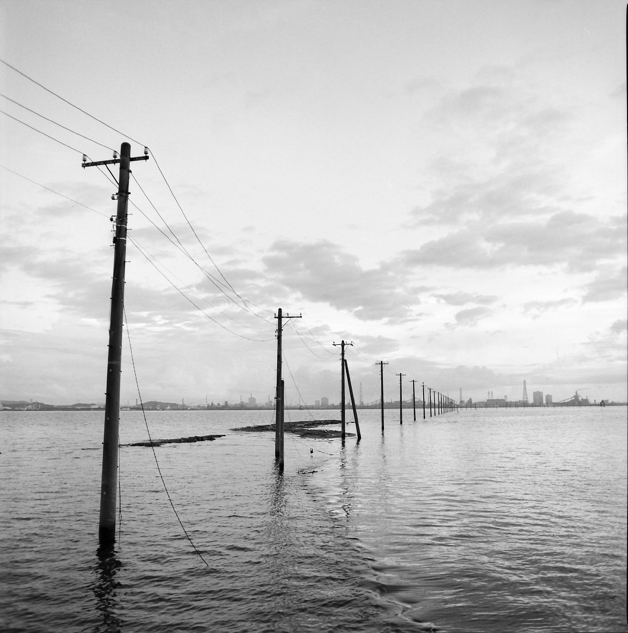 Archillect ID 269108