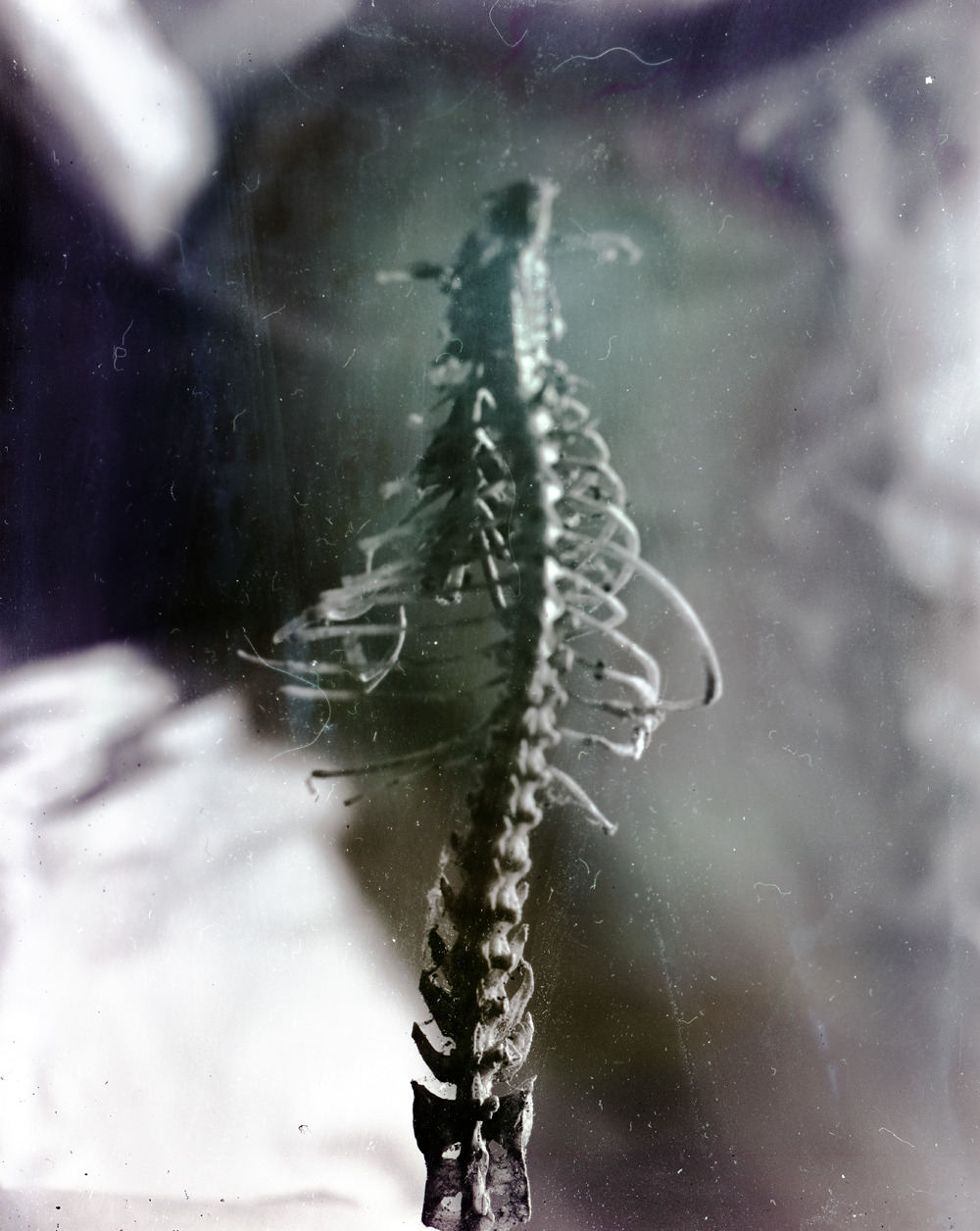 Archillect ID 269488