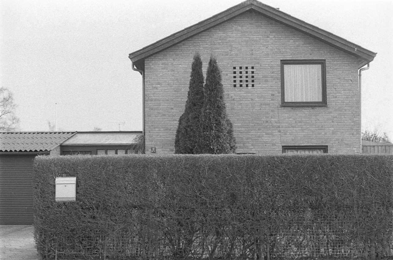 Archillect ID 269906