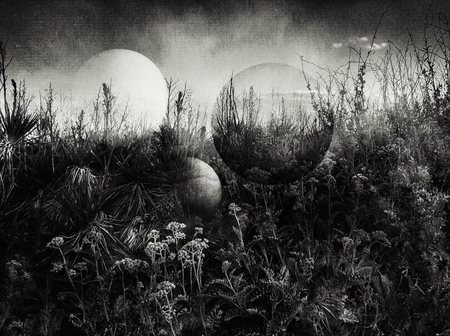 Archillect ID 270269