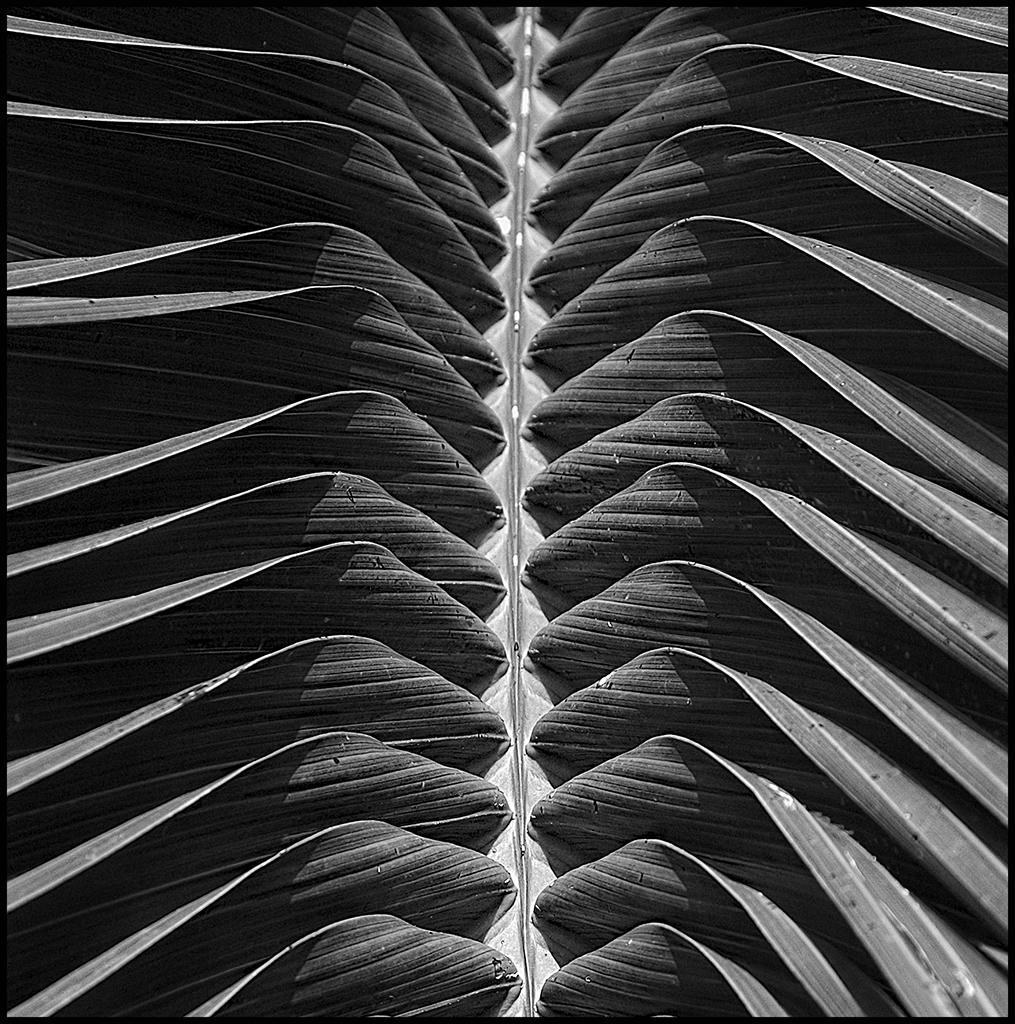 Archillect ID 270442