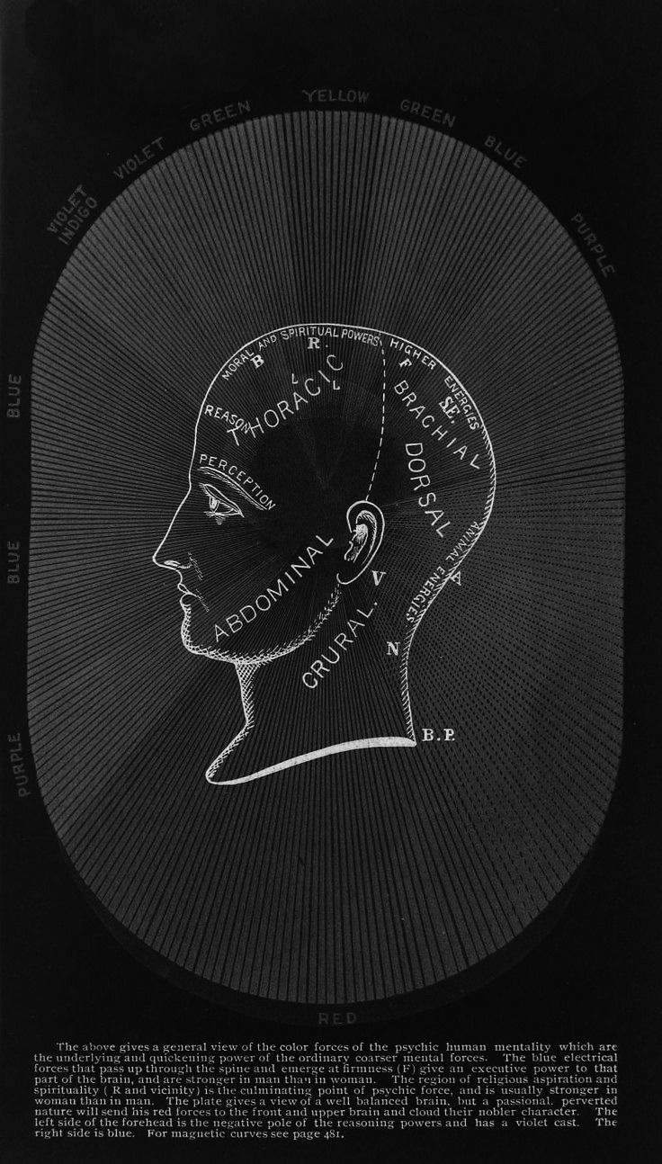 Archillect ID 270851