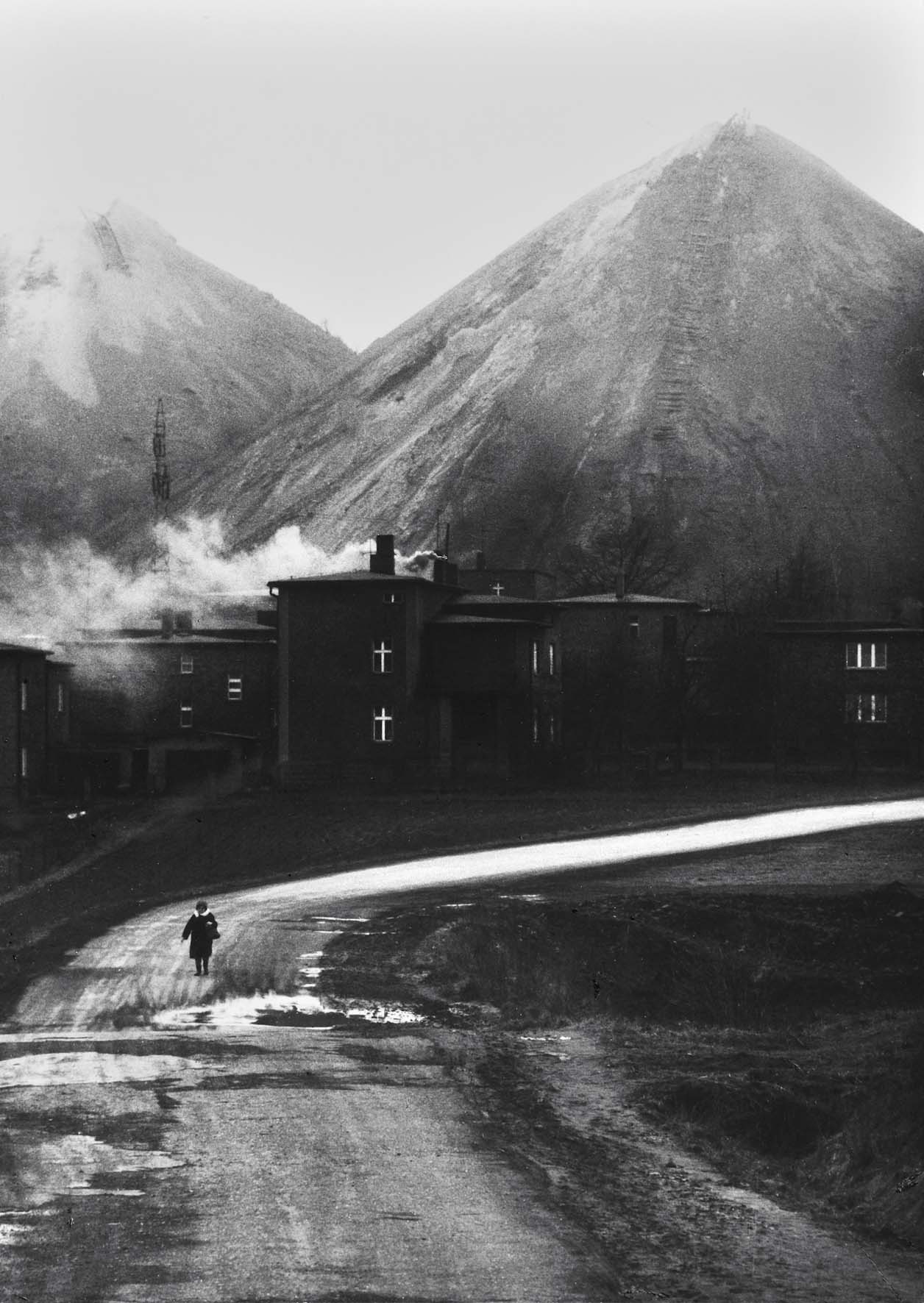 Archillect ID 271291