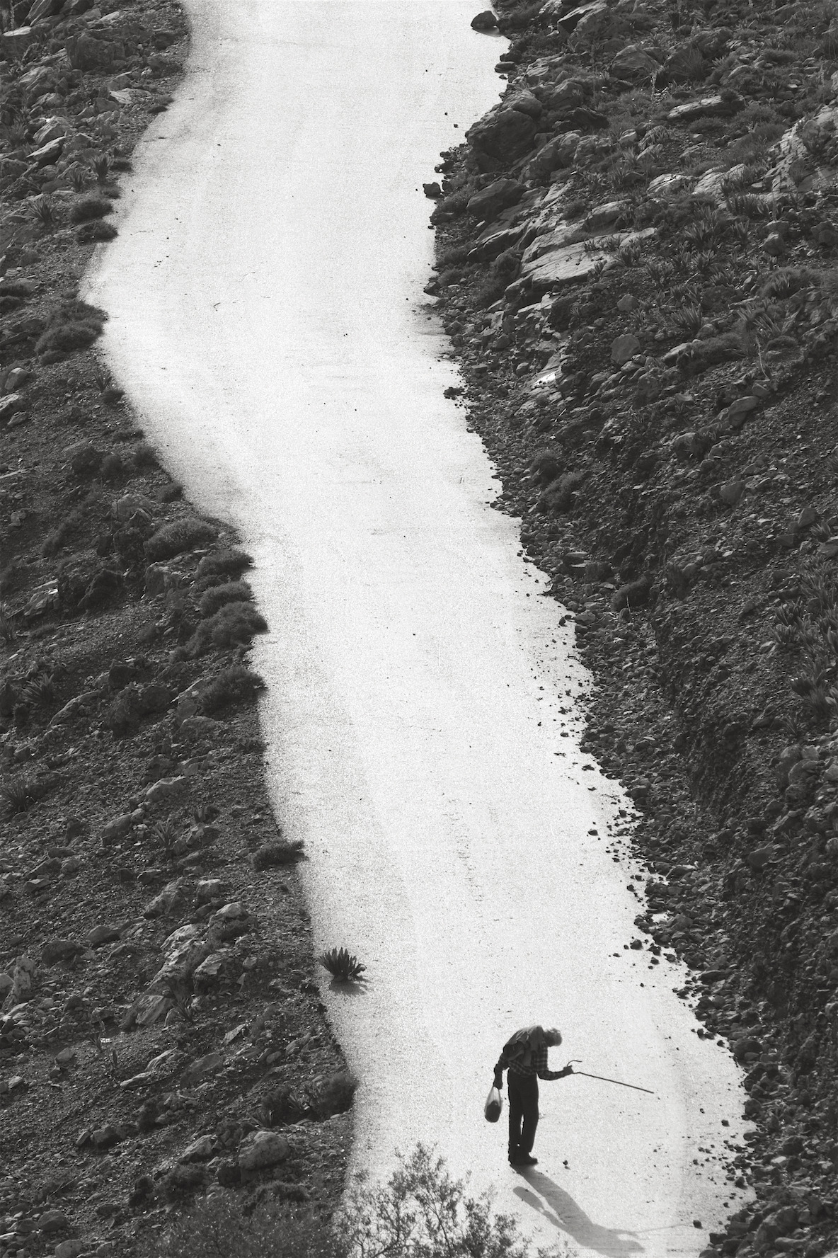 Archillect ID 271292