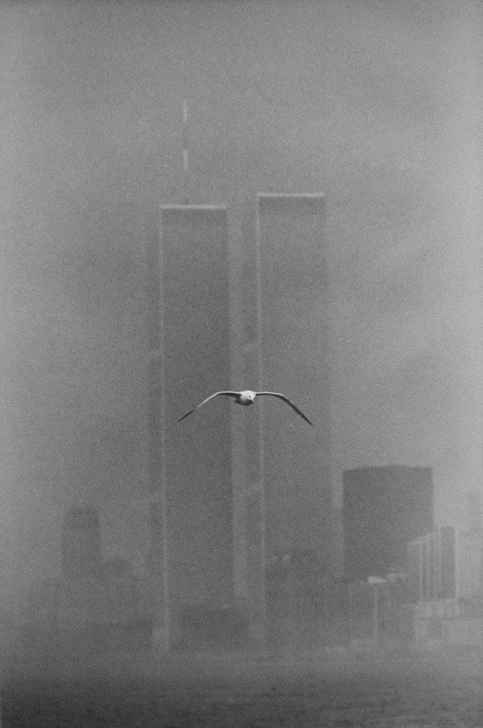 Archillect ID 271295