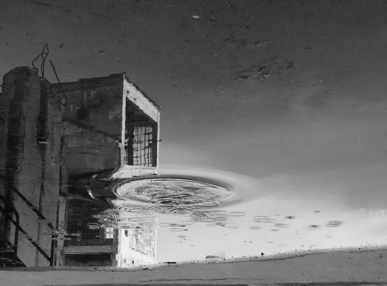 Archillect ID 271362