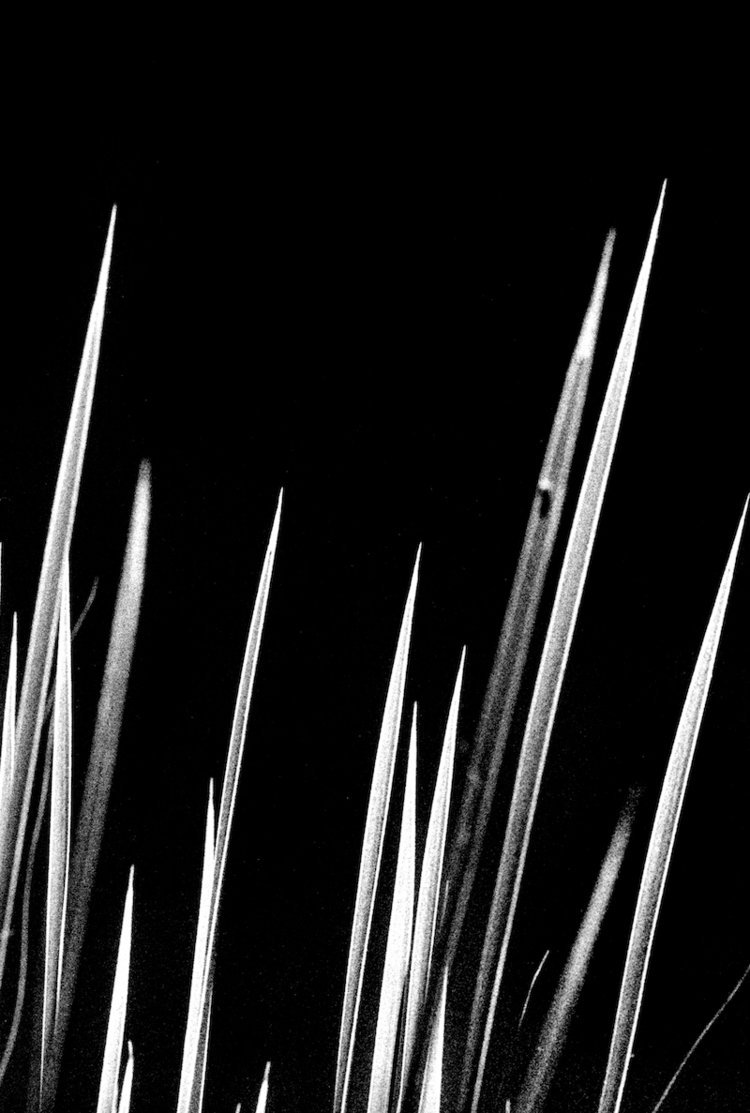 Archillect ID 272519