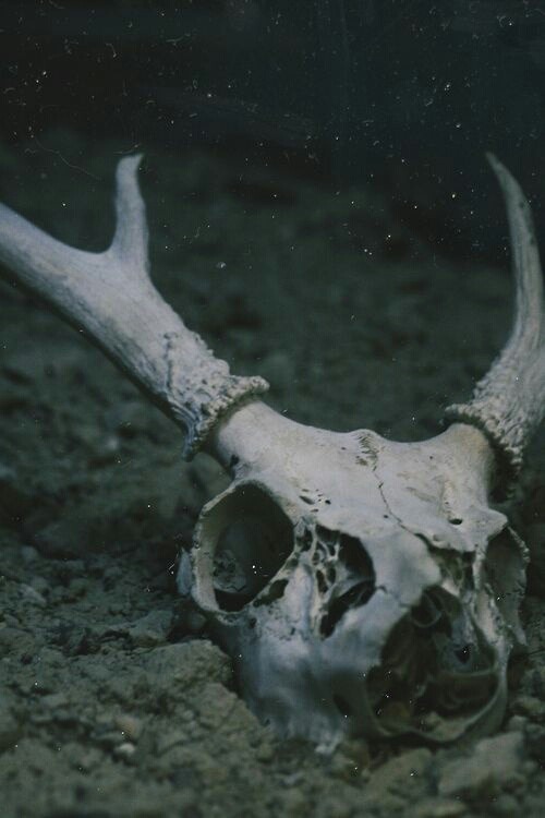 Archillect ID 273114
