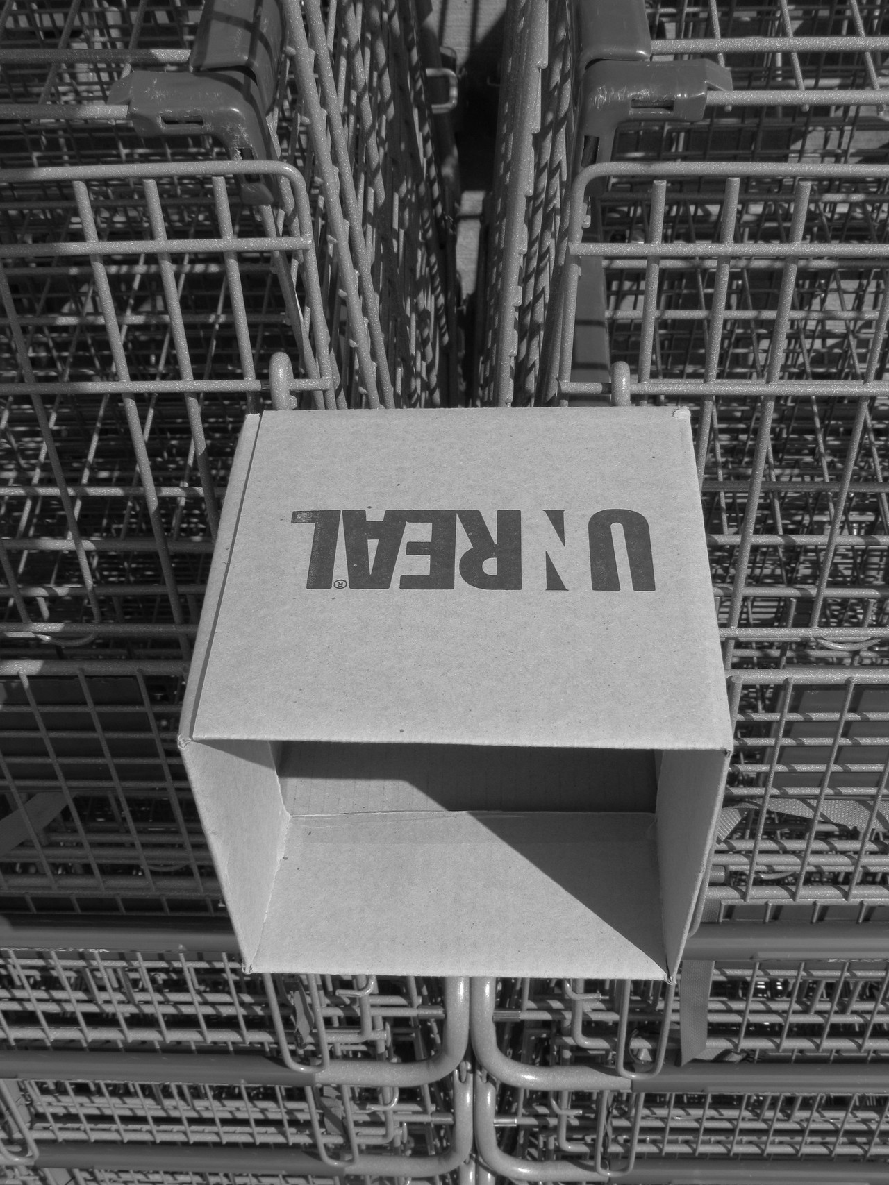 Archillect ID 273727