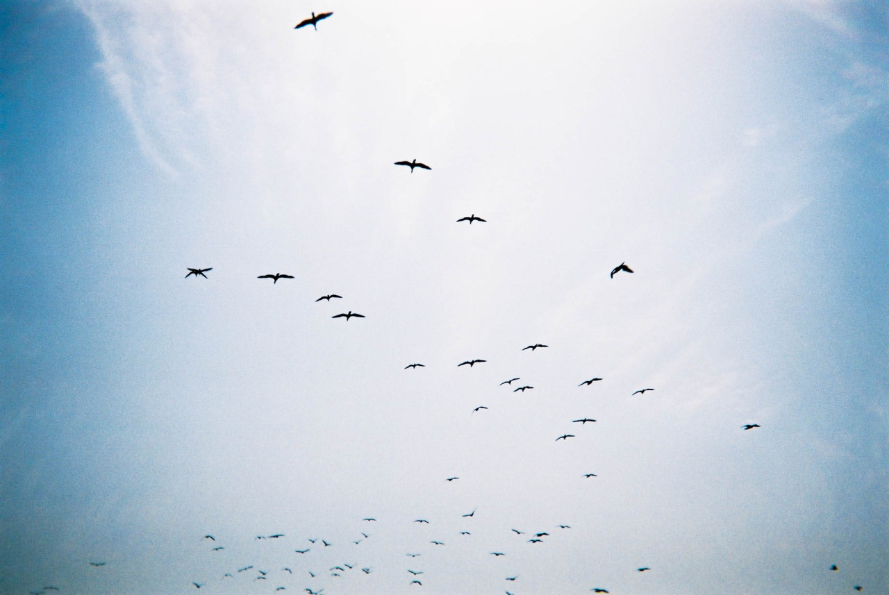 Archillect ID 274028