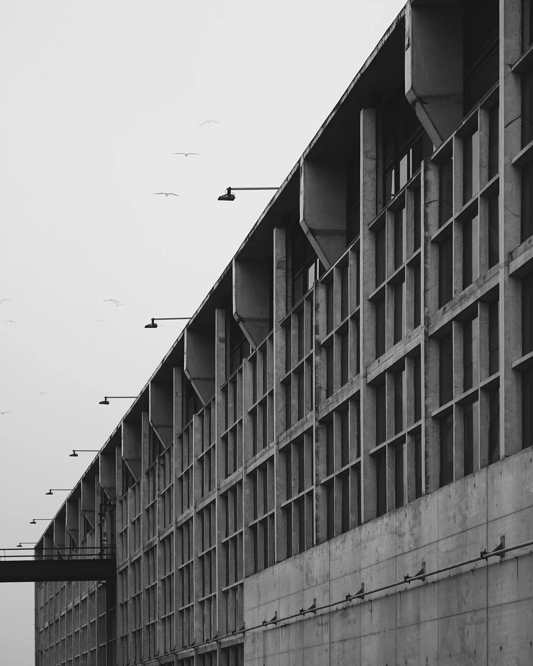 Archillect ID 274558
