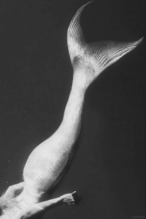 Archillect ID 274628