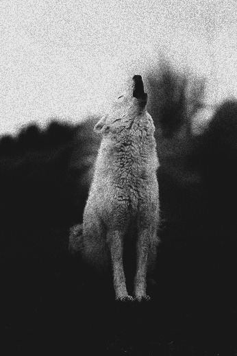 Archillect ID 274641