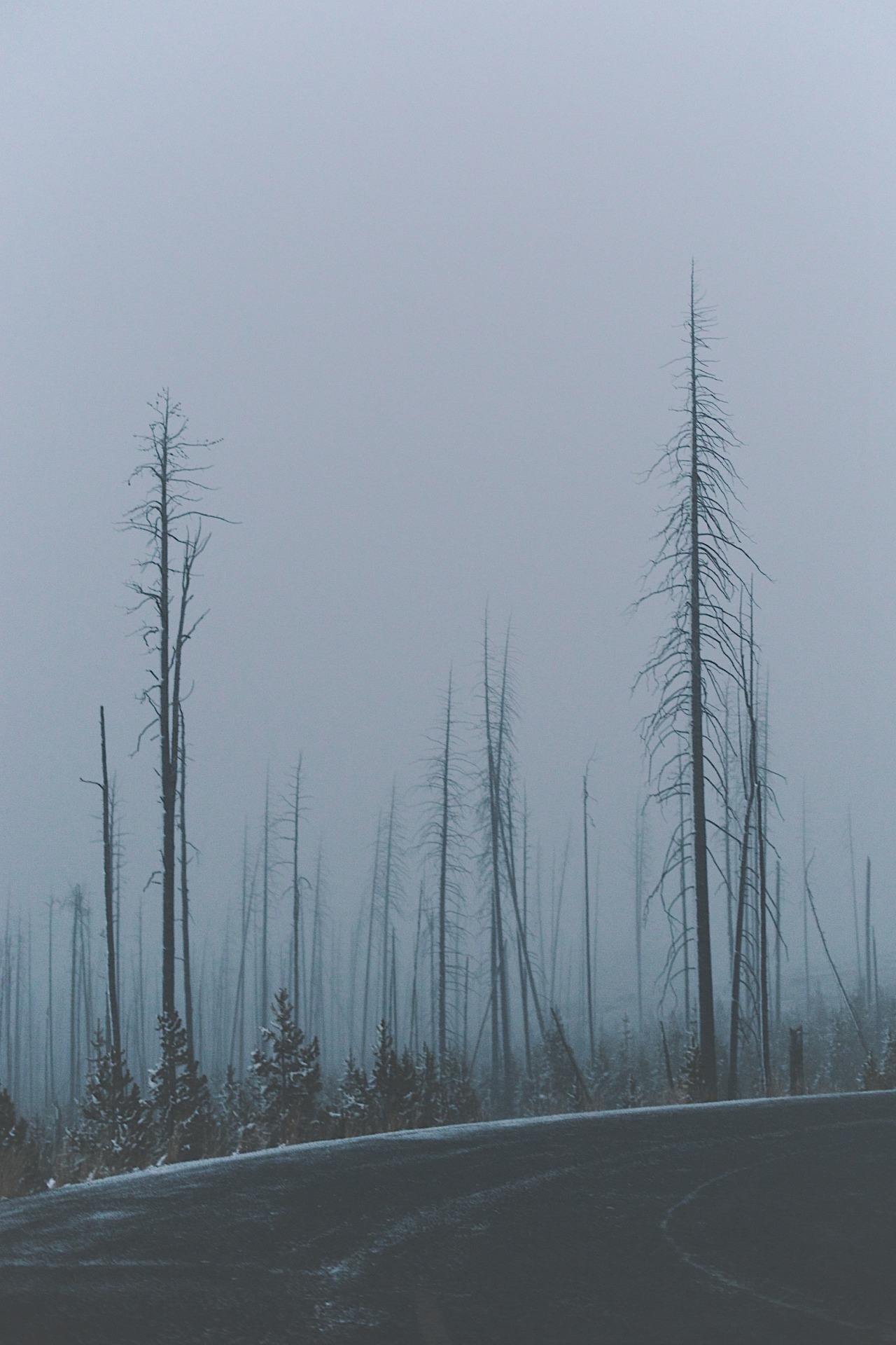 Archillect ID 275804